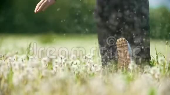 阳光明媚的一天年轻快乐的女人坠入蒲公英的田野视频的预览图