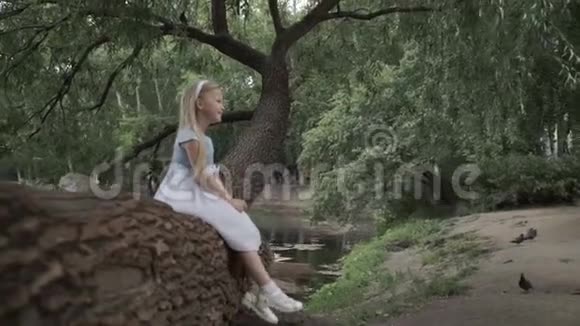 小女孩坐在树上视频的预览图