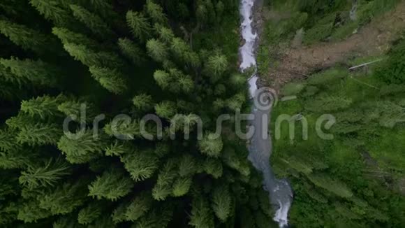 林中山河或溪流的鸟瞰图视频的预览图