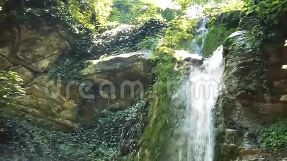 森林里的瀑布慢动作视频的预览图