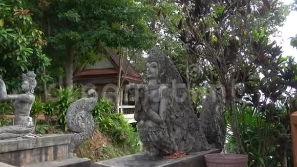 一个泰国女孩的雕像供奉佛陀泰国清盛视频的预览图