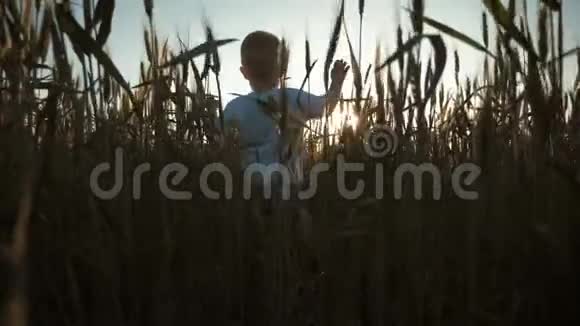 快乐的小学步男孩在夏天的日落时在麦田里玩快乐的童年夏天暑假视频的预览图