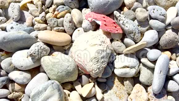 贝壳和岩石向动态绿松石海倾斜的特写镜头视频的预览图
