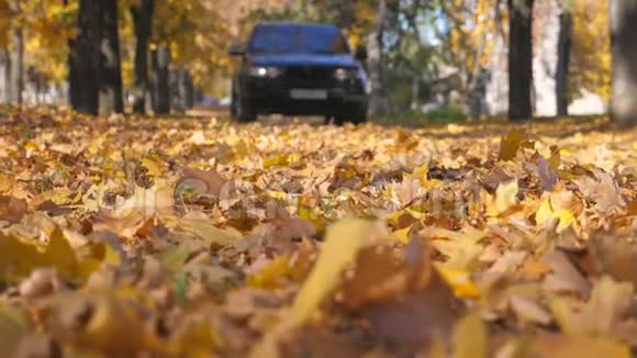 动力强劲的汽车在空旷的道路上行驶越过黄色的落叶美丽的秋景模糊的背景视频的预览图