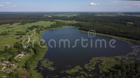 4片森林中央一个野湖的空中镜头视频的预览图