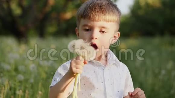 漂亮的小男孩在公园里吹蒲公英关门视频的预览图