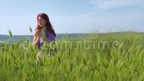 一个穿着紫色衣服的红发女孩沿着一条小径走着沿着一片绿草和小穗在风中摇曳视频的预览图