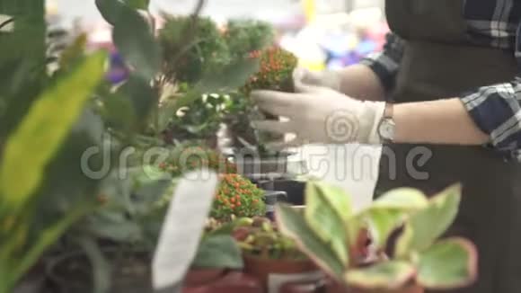 一个有花园植物的部门的女店员的手视频的预览图