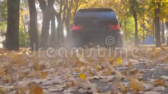 镜头跟随强大的汽车行驶在公园的道路上黄色的秋叶在阳光明媚的日子色彩斑斓的落叶视频的预览图
