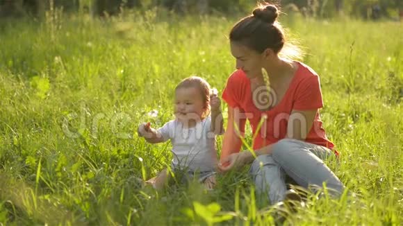 美丽的母亲在公园里和她的小女儿玩耍吹蒲公英视频的预览图