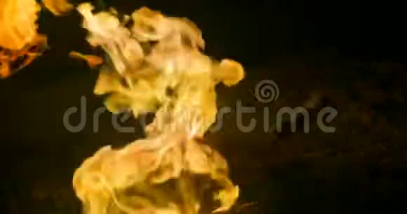 燃烧棉花糖视频的预览图