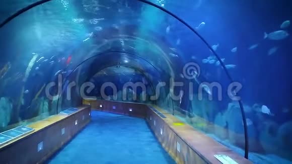 海洋生物检验现代水下隧道视频的预览图