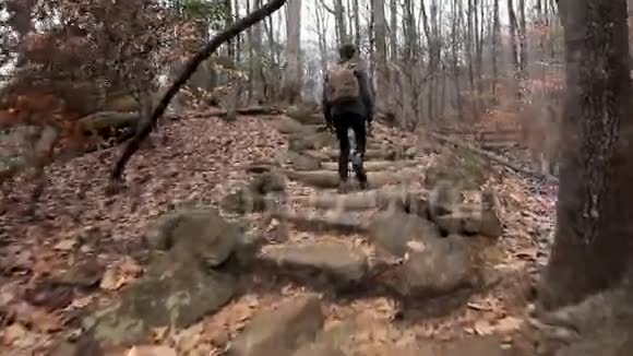 少年徒步穿越森林视频的预览图