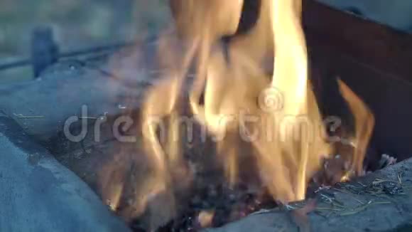 室外锻炉加热过程中燃烧木材视频的预览图