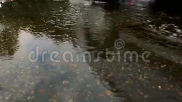 秋雨过后汽车在沥青上穿过清澈的水坑树上倒影视频的预览图