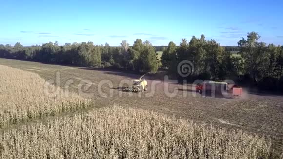 上景玉米组合和卡车在收获的土地上休息视频的预览图