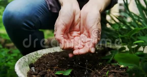 女人在花园里播种视频的预览图