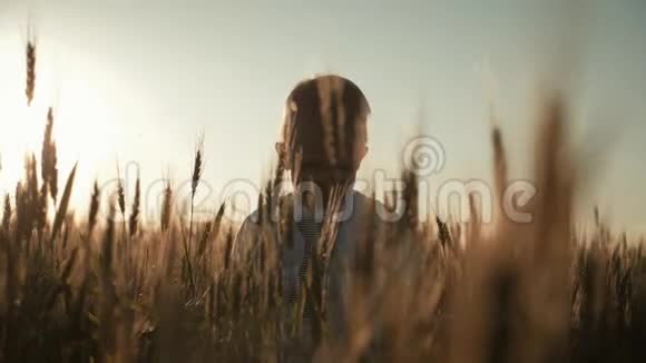 快乐的小学步男孩在夏天的日落时在麦田里玩快乐的童年夏天暑假视频的预览图