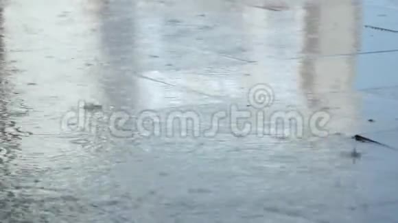城市里暴雨很大雨滴落在铺好的地上溅在水坑里视频的预览图
