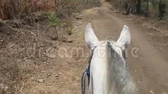 马从他的背部看头视频的预览图