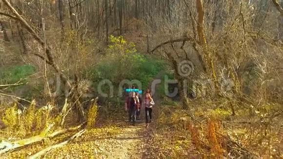 徒步旅行者在美丽的秋天森林探险视频的预览图
