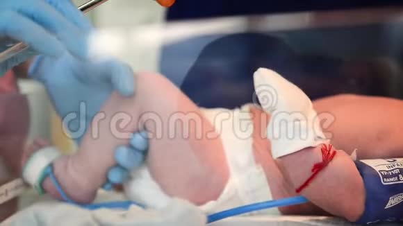 新生儿复苏女医生门诊检查新生儿视频的预览图