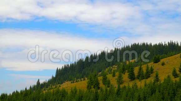 有森林的山美丽的蓝天伴云自然时光视频的预览图