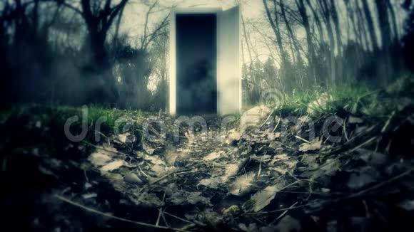 一扇黑暗森林中的门和门视频的预览图
