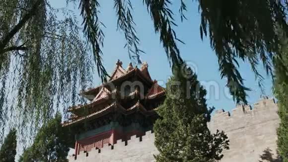 北京紫禁城大厦和柳树视频的预览图