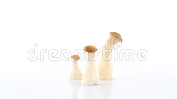 三个小牡蛎蘑菇在白色背景上隔离的转盘上旋转快关门视频的预览图