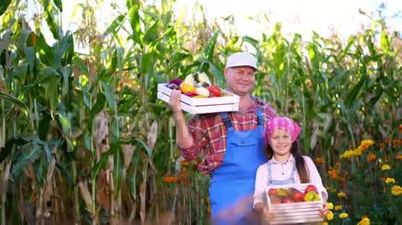 微笑的农民家庭画像爸爸和女儿拿着不同新鲜蔬菜的木箱收获着视频的预览图