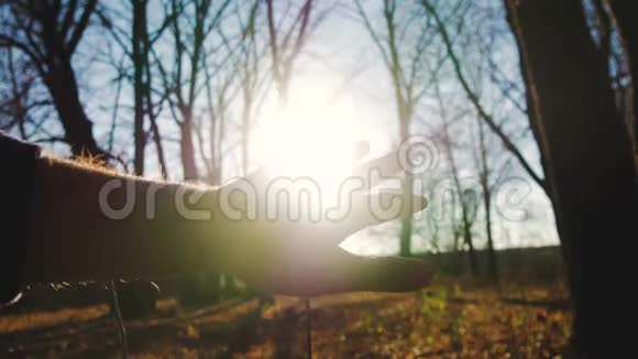 秋天一个人用手在森林里用手指照射出雾状的神秘阳光视频的预览图