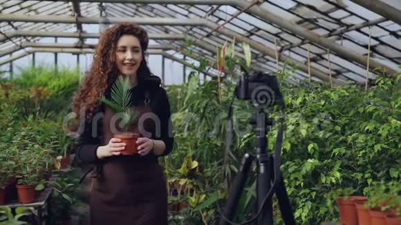 女主人正在录制有关园艺的视频她的视频博客站在温室里手里拿着视频的预览图