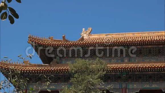 北京紫禁城屋顶附近视频的预览图