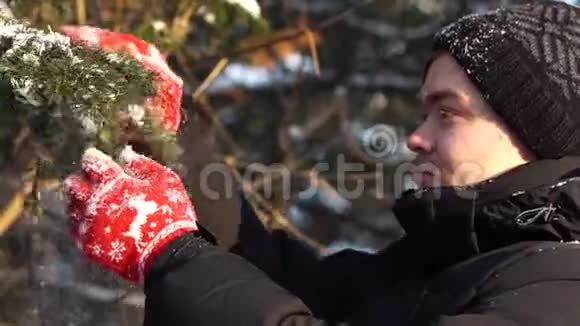 一个戴着红色手套的年轻人站在冬天的森林里把雪从冷杉树枝上摇下来特写镜头视频的预览图