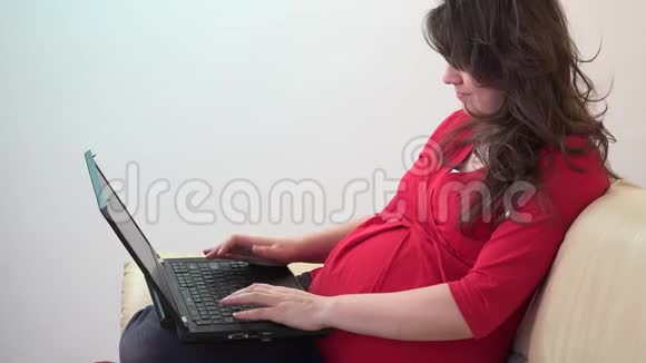 孕妇在手提电脑工作看电脑视频的预览图