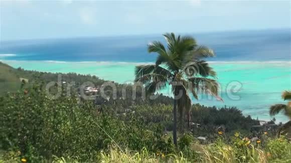 碧泻湖风景区室外热带珊瑚礁波利尼西亚全景视频的预览图