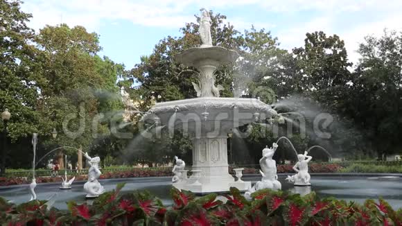 福赛斯公园的喷泉视频的预览图