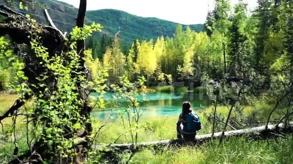 一位背着背包的旅行妇女坐在森林中蓝色的山湖边一棵倒下的树上视频的预览图