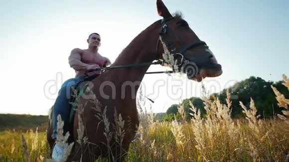 夏天一个举重运动员坐在一匹马上在田中央嚼草视频的预览图