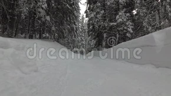 两个背着背包的男人在森林里的雪路上走视频的预览图