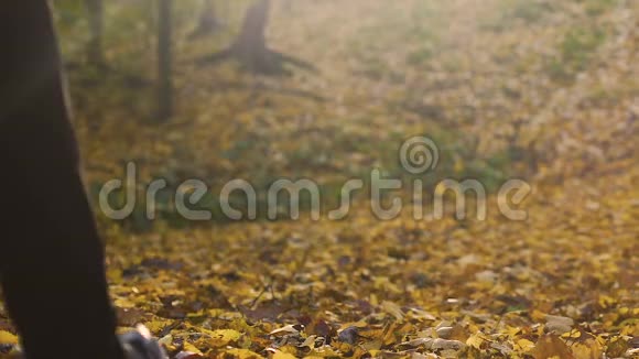 年轻男子背包行走在秋天的森林人与自然黄金季节视频的预览图