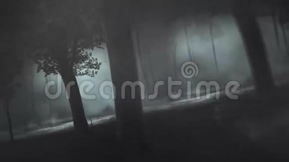 骷髅黑暗森林4K循环视频的预览图