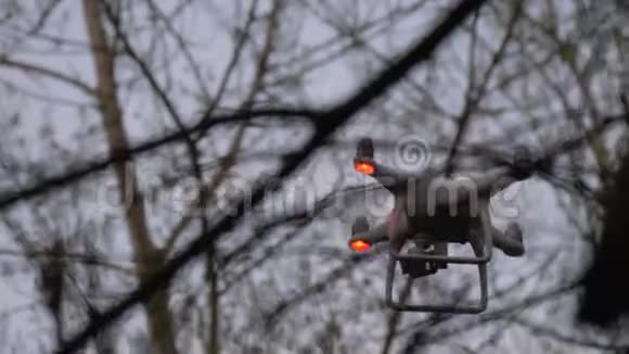 树枝间带摄像头的飞行无人机视频的预览图