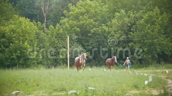 女人带着马在田野上奔跑视频的预览图