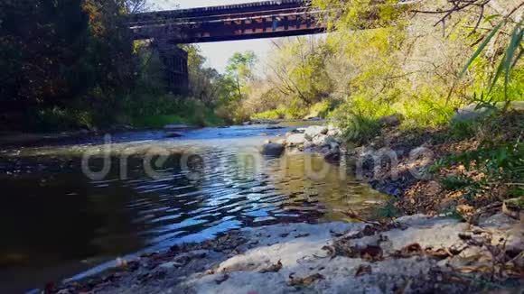 铁路桥下河滨森林美丽的流水铁路沿线的阳光河岸树木视频的预览图