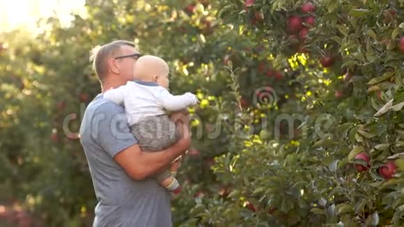 一位快乐的祖父向一个小孙子展示了他正在结出的苹果园六个月的婴儿在一个成熟男人的怀里视频的预览图