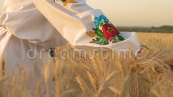 慢动作特写镜头全国服装大赛中的女选手将手放在田间种植小麦芽上视频的预览图