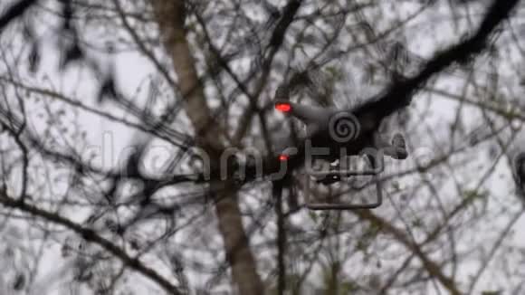 树枝间带摄像头的飞行无人机视频的预览图