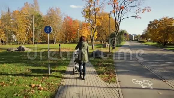 秋天妈妈和婴儿压路机在一个公园里散步公园里有五颜六色的树视频的预览图